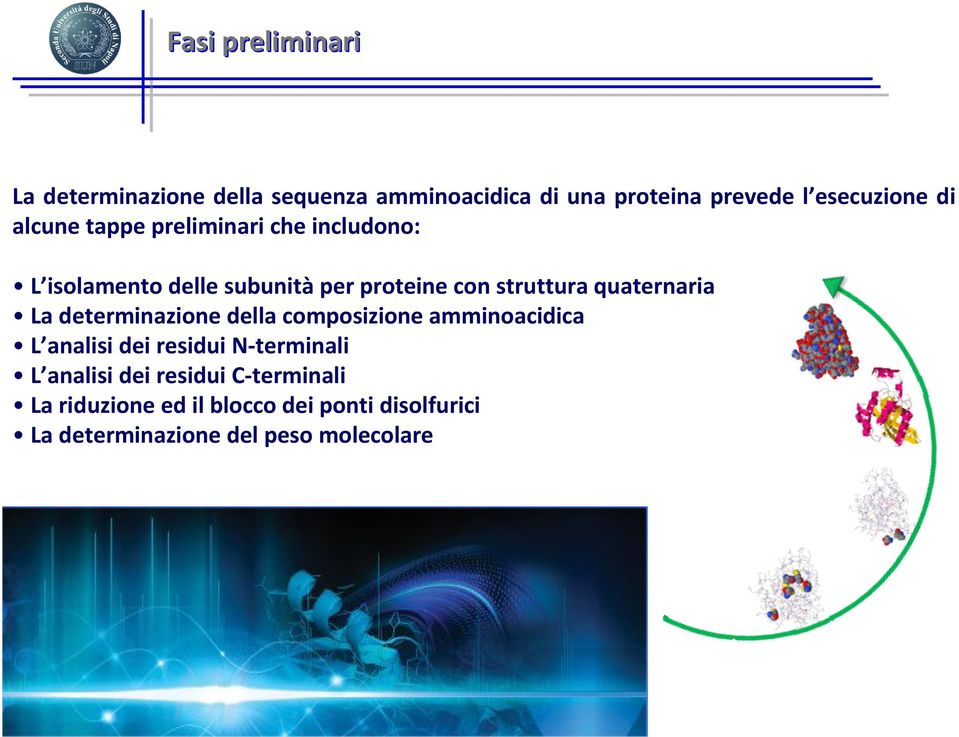 quaternaria La determinazione della composizione amminoacidica L analisi dei residui N-terminali L