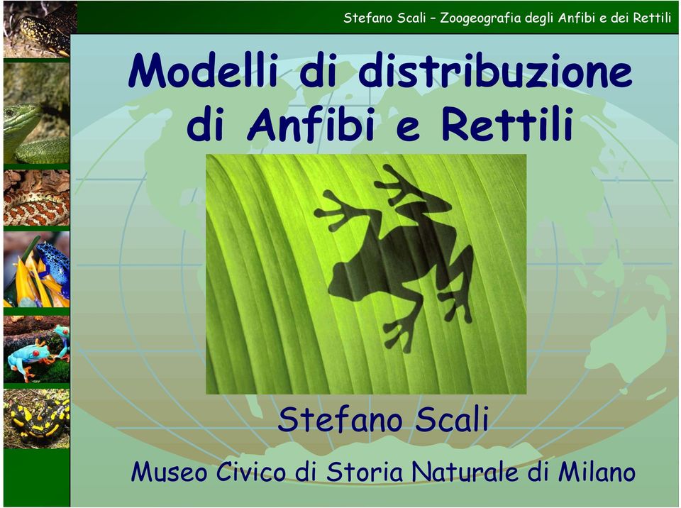 Stefano Scali Museo