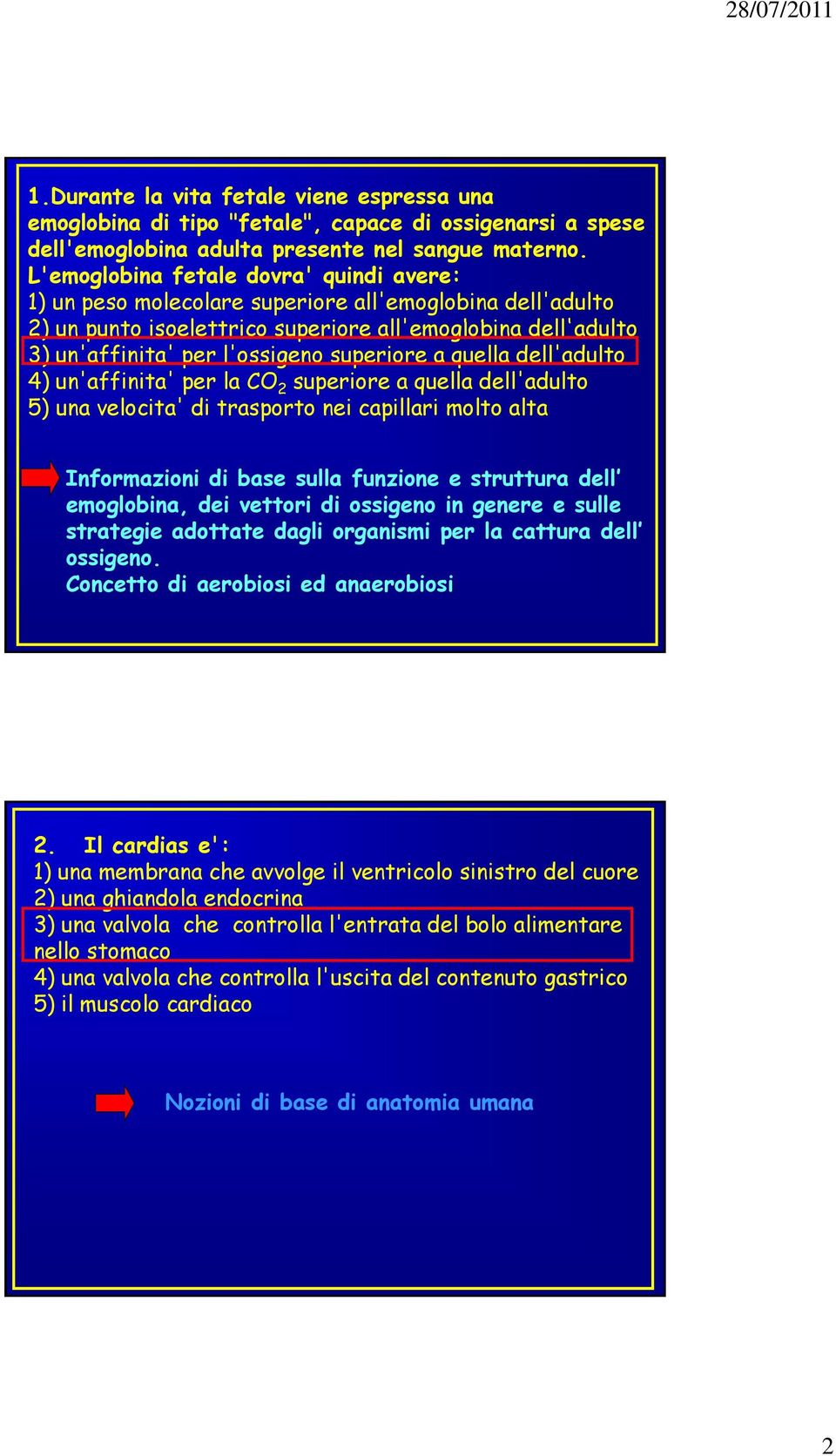 l'ossigeno superiore a quella dell'adulto 4) un'affinita' per la CO 2 superiore a quella dell'adulto 5) una velocita' di trasporto nei capillari molto alta Informazioni di base sulla funzione e