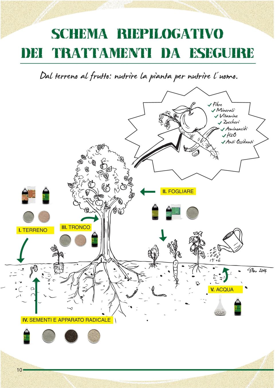 Fibre Minerali Vitamine Zuccheri Aminoacidi H2O Anti Ossidanti