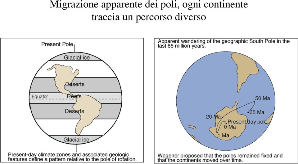 poli, ogni