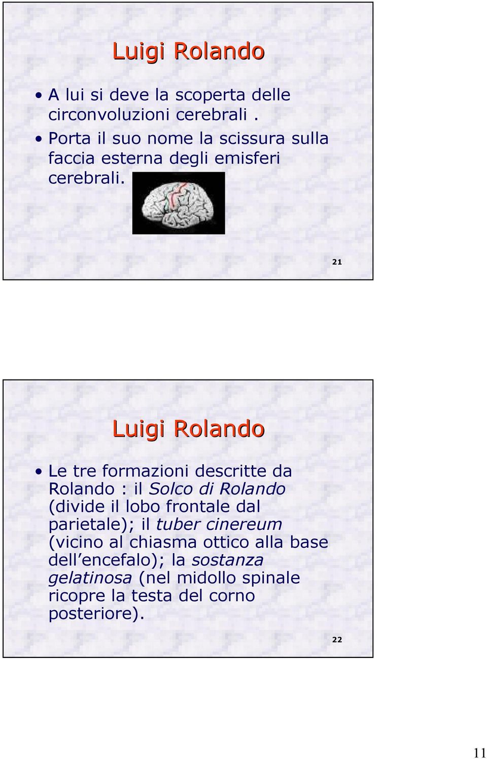 21 Luigi Rolando Le tre formazioni descritte da Rolando : il Solco di Rolando (divide il lobo frontale dal