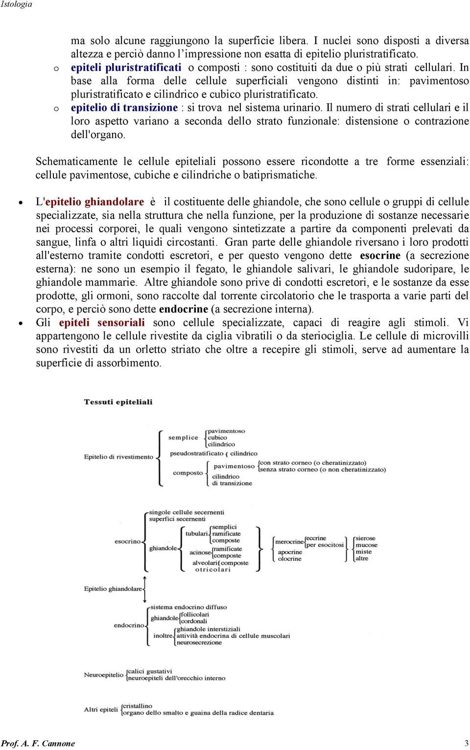 In base alla forma delle cellule superficiali vengono distinti in: pavimentoso pluristratificato e cilindrico e cubico pluristratificato. epitelio di transizione : si trova nel sistema urinario.