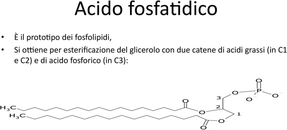 esterificazione del glicerolo con due