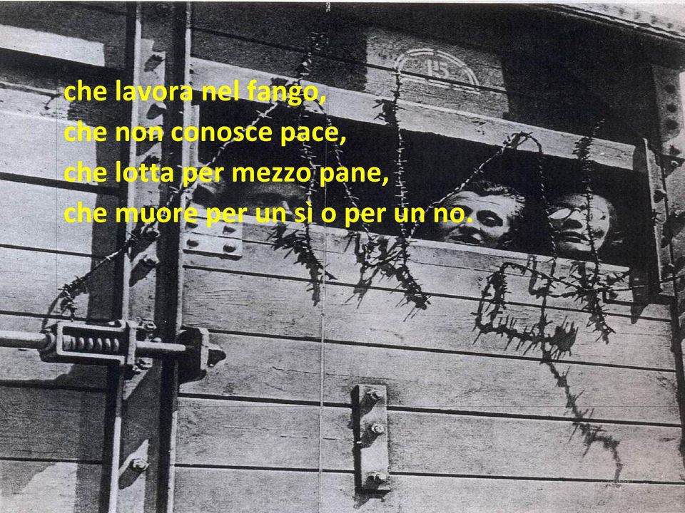 lotta per mezzo pane, che