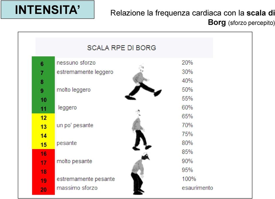 cardiaca con la