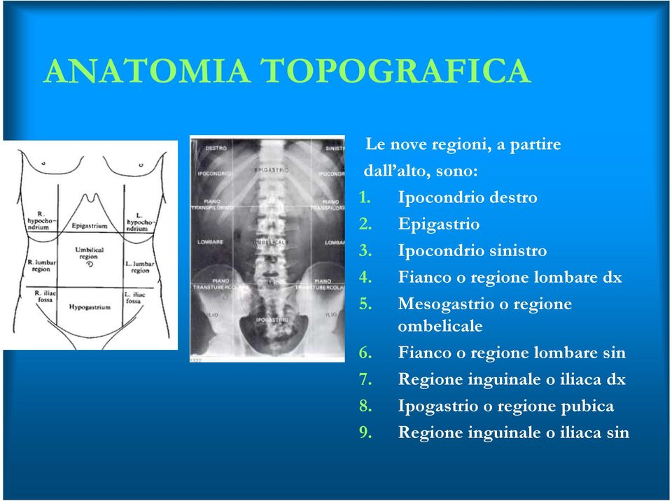 Fianco o regione lombare dx 5. Mesogastrio o regione ombelicale 6.