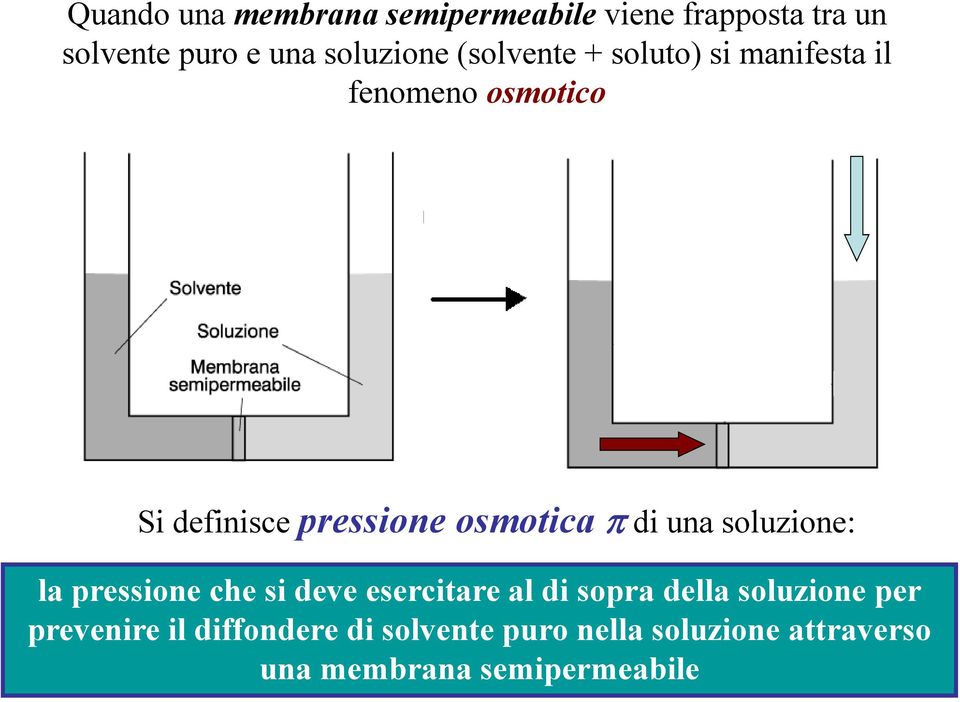 di una soluzione: la pressione che si deve esercitare al di sopra della soluzione per