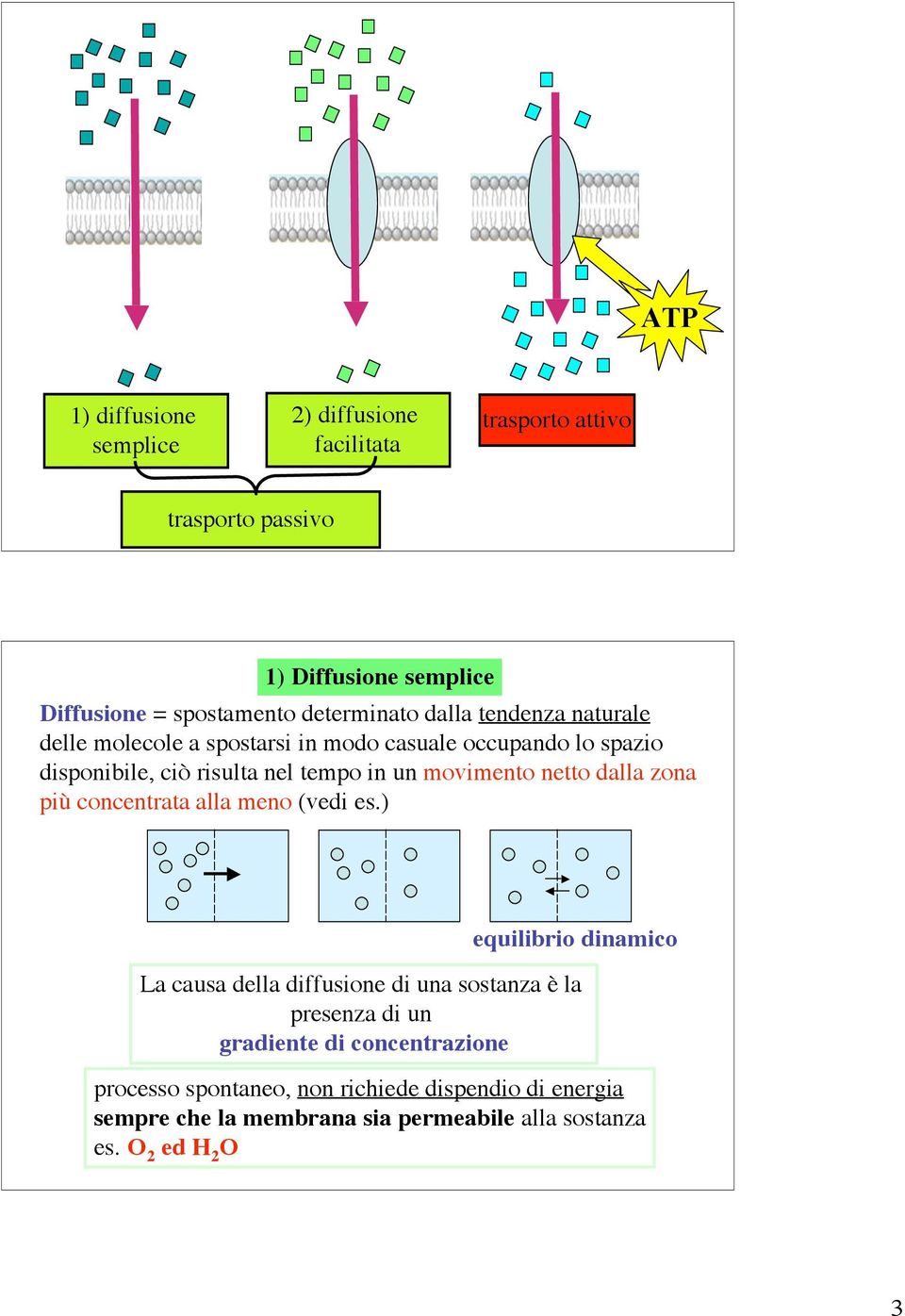 movimento netto dalla zona più concentrata alla meno (vedi es.