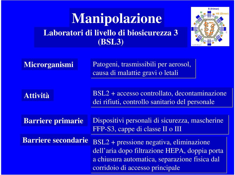 sanitario del personale Dispositivi personali di sicurezza, mascherine FFP-S3, cappe di classe II o III BSL2 + pressione negativa,