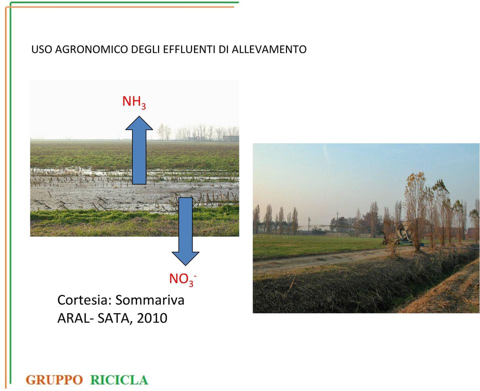 ALLEVAMENTO NH 3 NO 3 -