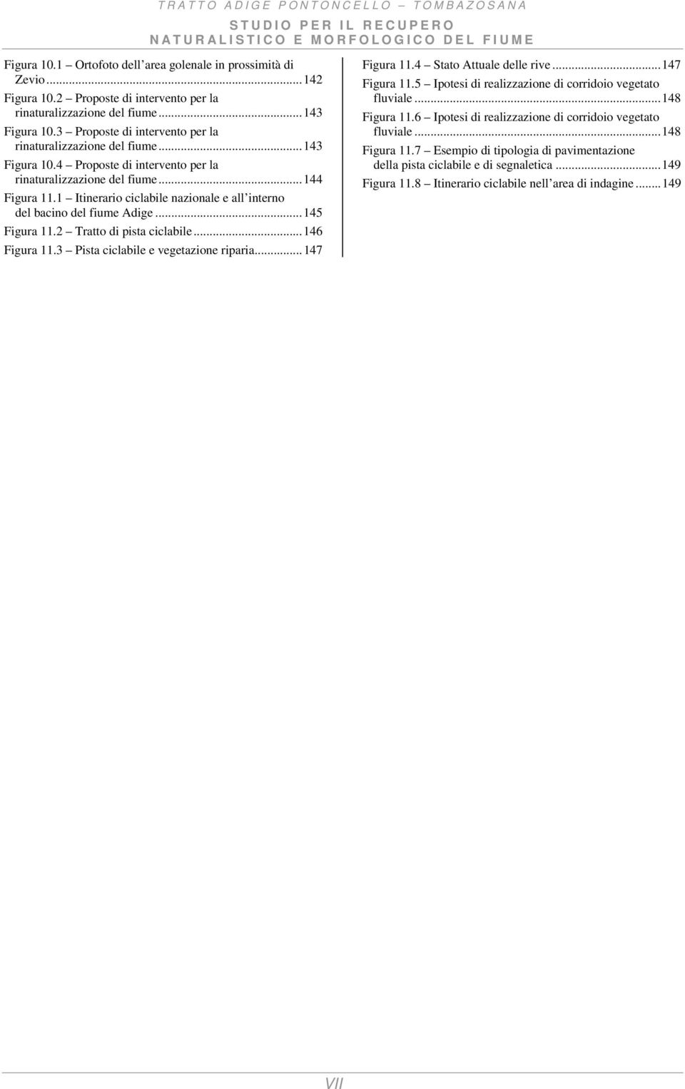 1 Itinerario ciclabile nazionale e all interno del bacino del fiume Adige...145 Figura 11.2 Tratto di pista ciclabile...146 Figura 11.3 Pista ciclabile e vegetazione riparia...147 Figura 11.