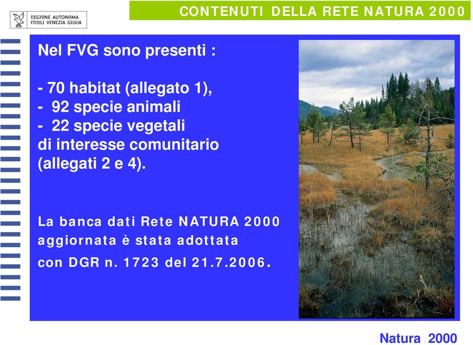 - 22 specie vegetali di interesse comunitario (allegati 2 e 4).