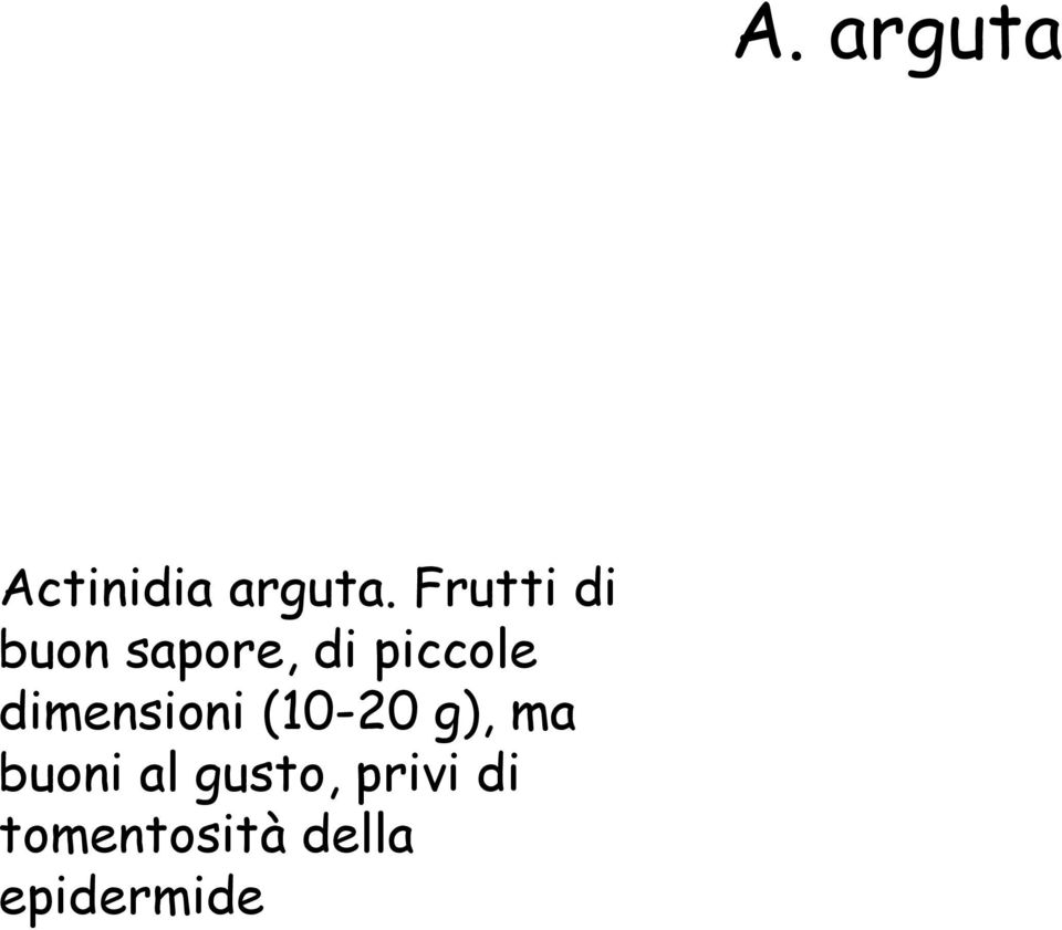 dimensioni (10-20 g), ma buoni al