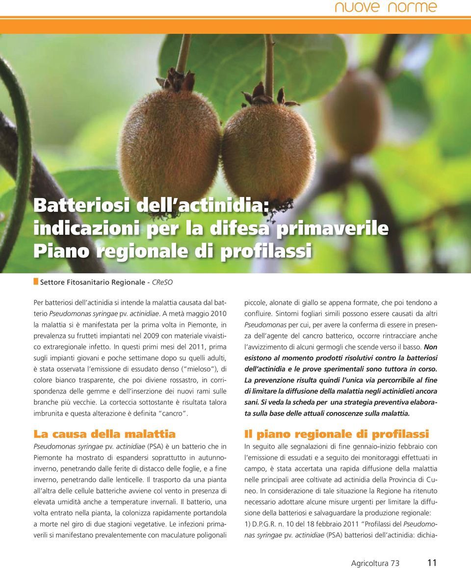 A metà maggio 2010 la malattia si è manifestata per la prima volta in Piemonte, in prevalenza su frutteti impiantati nel 2009 con materiale vivaistico extraregionale infetto.