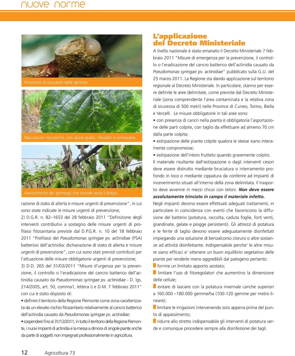 82 1653 del 28 febbraio 2011 Definizione degli interventi contributivi a sostegno delle misure urgenti di profilassi fitosanitaria previste dal D.P.G.R. n.