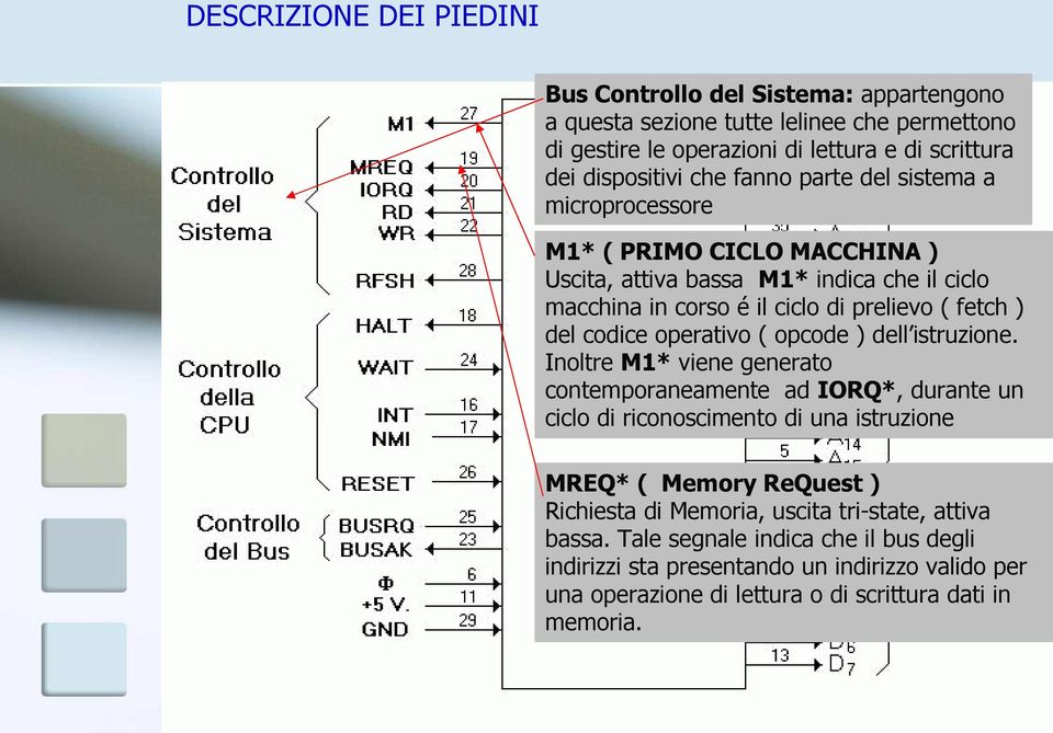 operativo ( opcode ) dell istruzione.