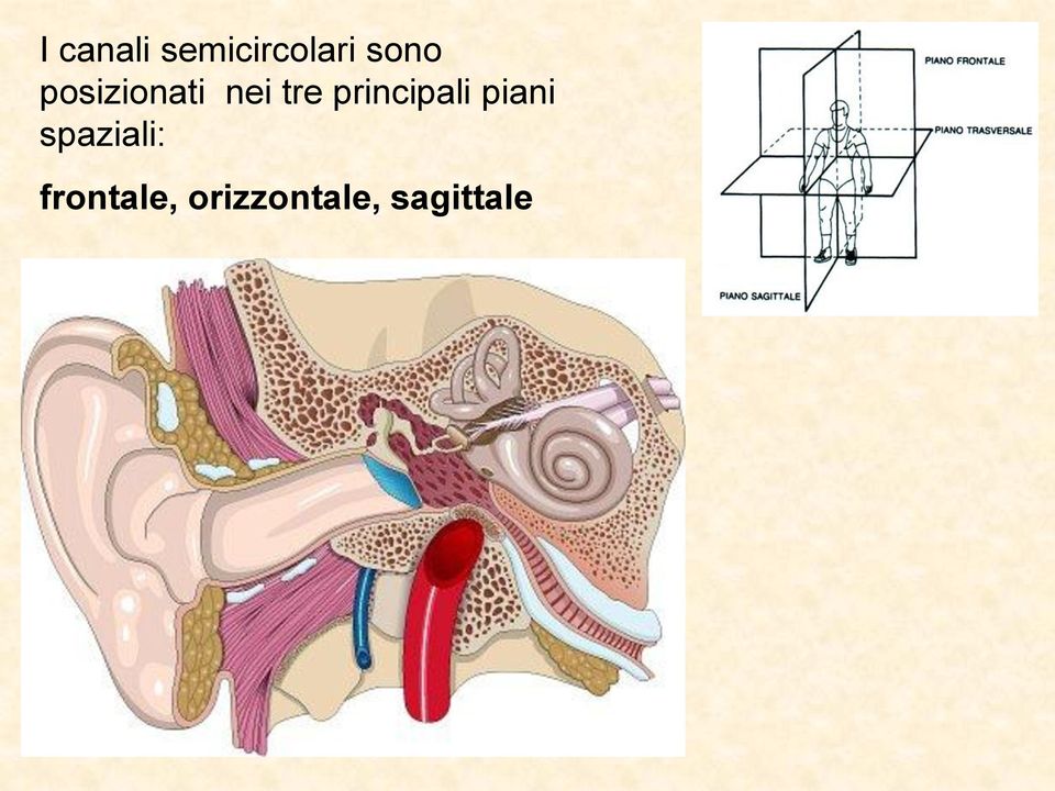 principali piani spaziali: