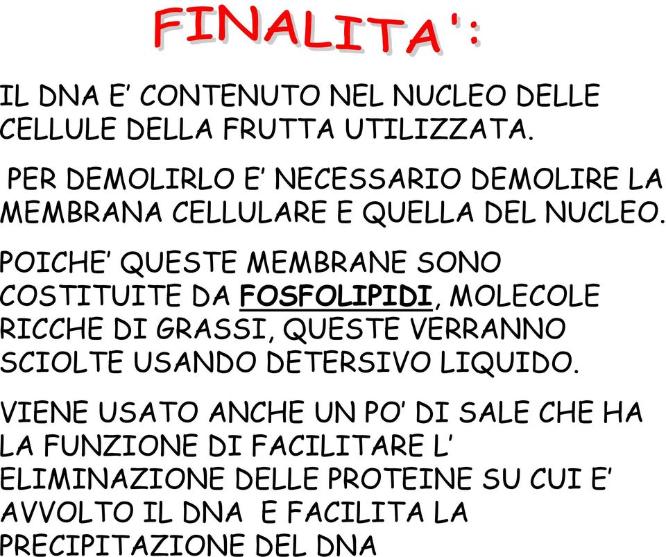 POICHE QUESTE MEMBRANE SONO COSTITUITE DA FOSFOLIPIDI, MOLECOLE RICCHE DI GRASSI, QUESTE VERRANNO SCIOLTE