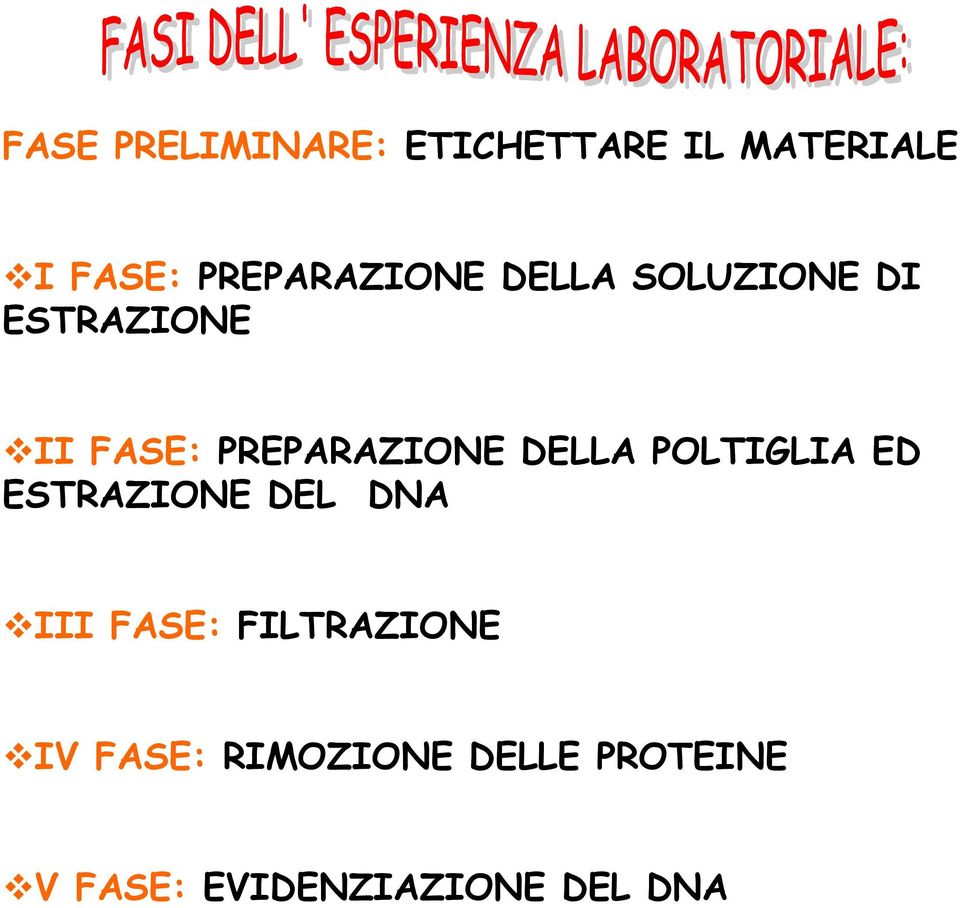 PREPARAZIONE DELLA POLTIGLIA ED ESTRAZIONE DEL DNA III