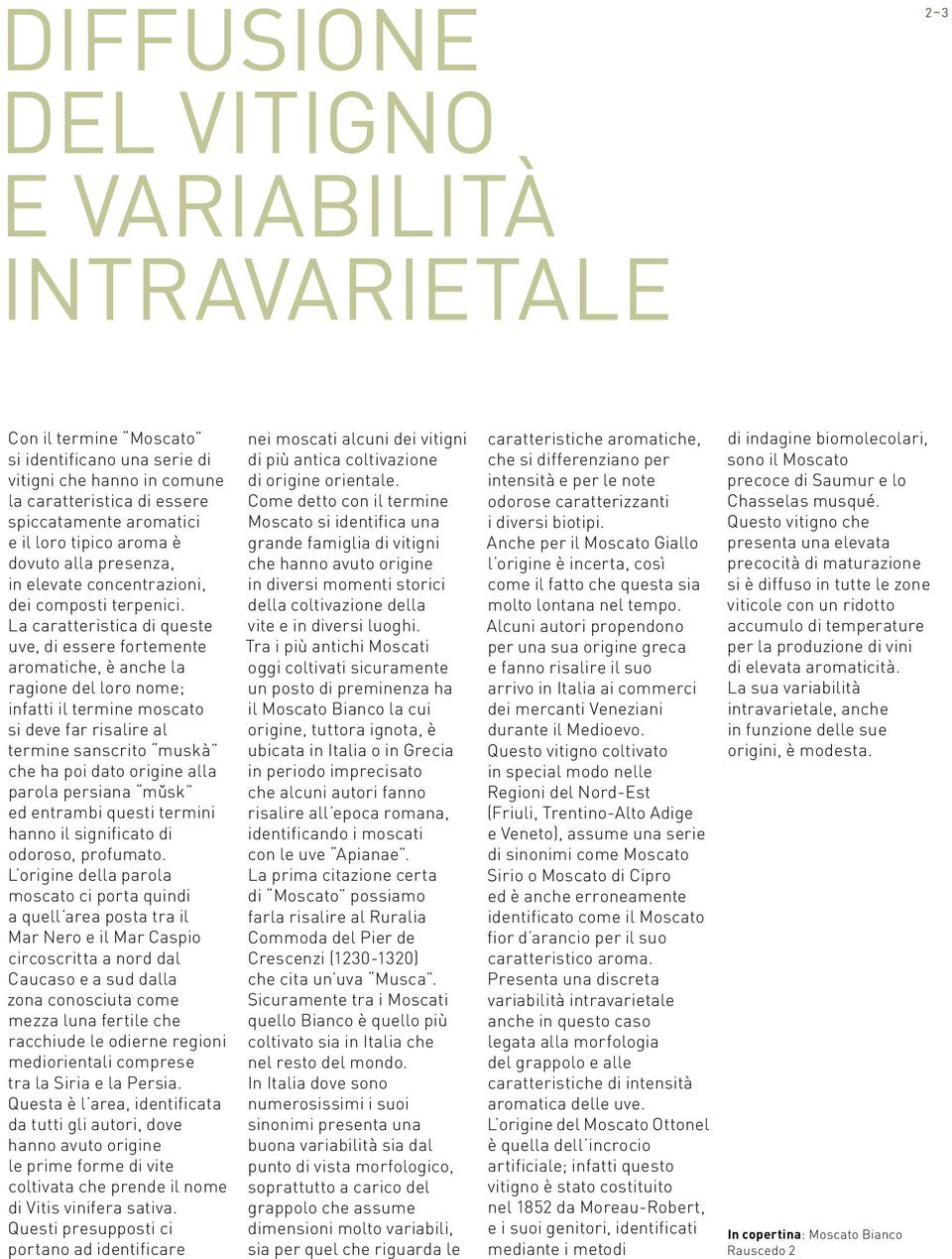 La caratteristica di queste uve, di essere fortemente aromatiche, è anche la ragione del loro nome; infatti il termine moscato si deve far risalire al termine sanscrito muskà che ha poi dato origine