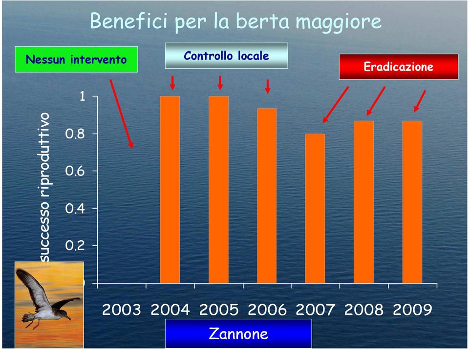 Eradicazione successo riproduttivo 0.8 0.