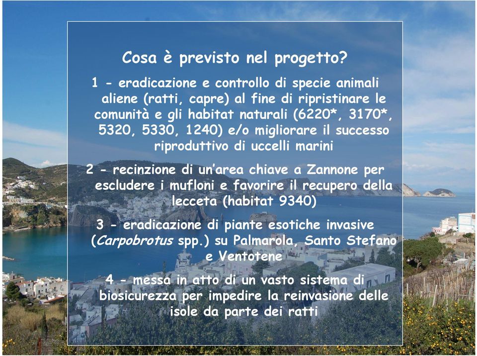 5320, 5330, 1240) e/o migliorare il successo riproduttivo di uccelli marini 2 - recinzione di un area chiave a Zannone per escludere i mufloni e