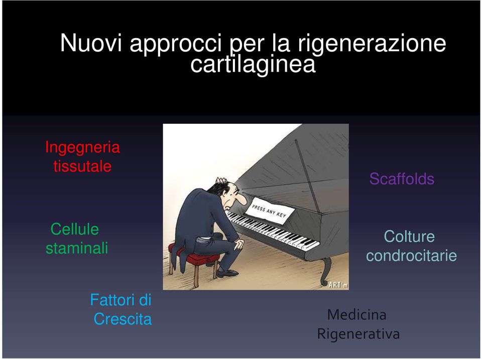 Scaffolds Cellule staminali Colture