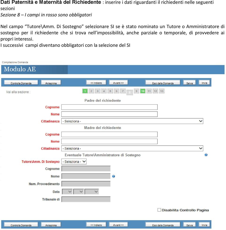 Di Sostegno selezionare SI se è stato nominato un Tutore o Amministratore di sostegno per il richiedente che