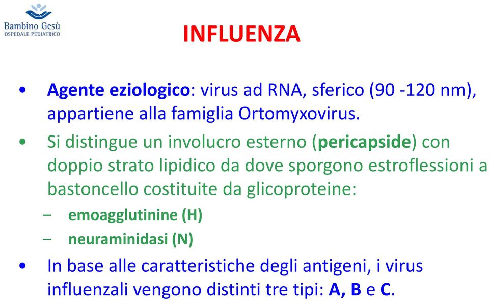 Si distingue un involucro esterno (pericapside) con doppio strato lipidico da dove sporgono