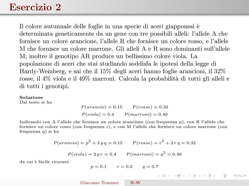 La popolazione di aceri che stai studiando soddisfa le ipotesi della legge di Hardy-Weinberg, e sai che il 15% degli aceri hanno foglie arancioni, il 32% rosse, il 4% viola e il 49% marroni.