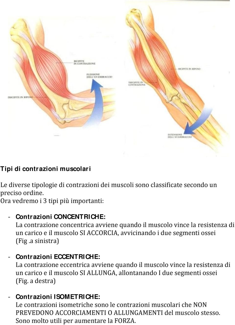 avvicinando i due segmenti ossei (Fig.