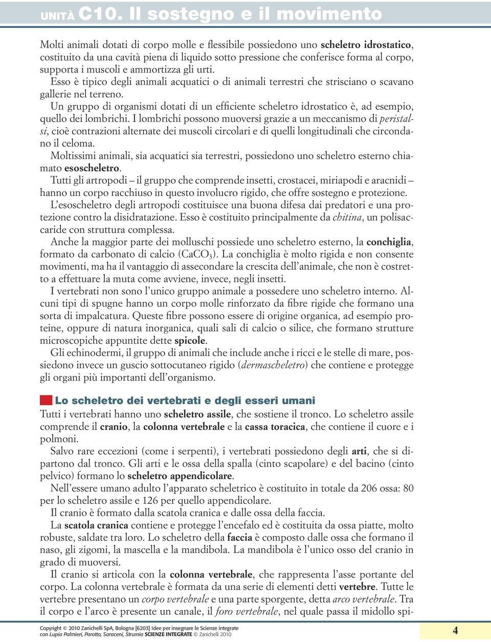 Un gruppo di organismi dotati di un efficiente scheletro idrostatico è, ad esempio, quello dei lombrichi.