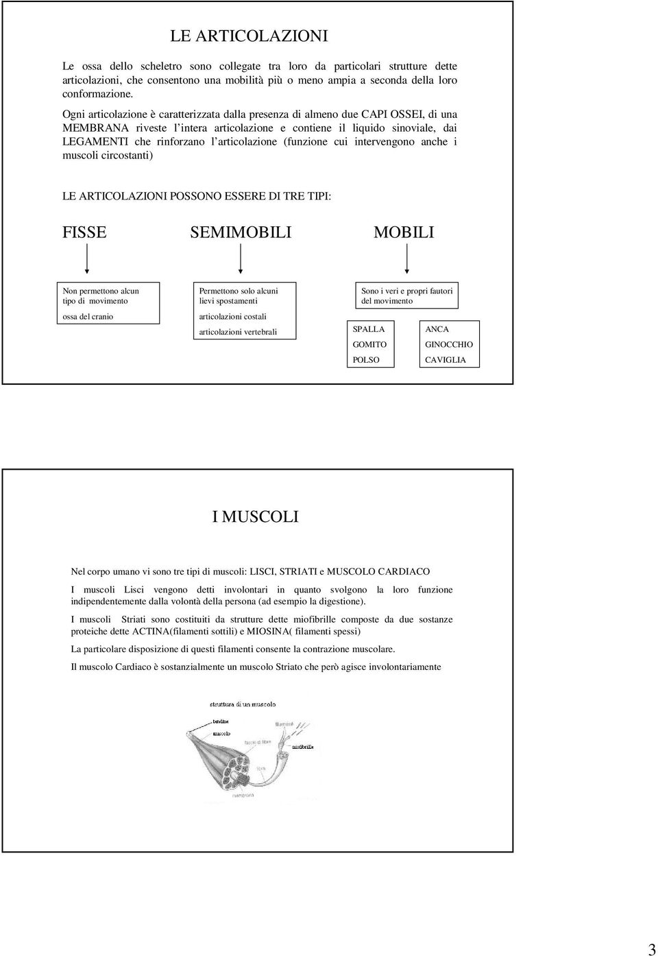 articolazione (funzione cui intervengono anche i muscoli circostanti) LE ARTICOLAZIONI POSSONO ESSERE DI TRE TIPI: FISSE SEMIMOBILI MOBILI Non permettono alcun tipo di movimento ossa del cranio