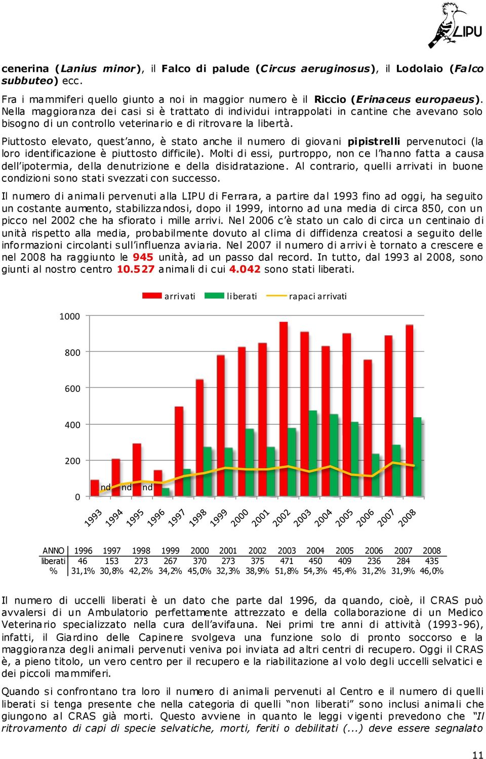 Piuttosto elevato, quest anno, è stato anche il numero di giovani pipistrelli pervenutoci (la loro identificazione è piuttosto difficile).