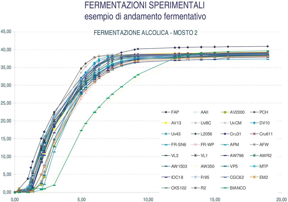 MOSTO 2 40,00 35,00 30,00 25,00 20,00 15,00