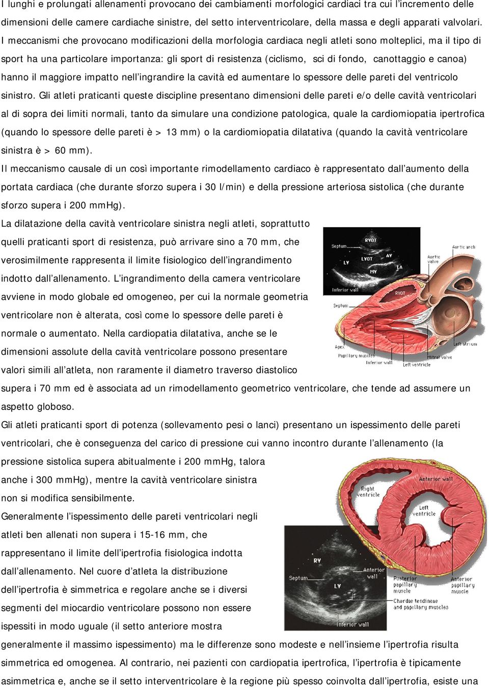 I meccanismi che provocano modificazioni della morfologia cardiaca negli atleti sono molteplici, ma il tipo di sport ha una particolare importanza: gli sport di resistenza (ciclismo, sci di fondo,