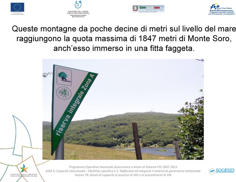 la quota massima di 1847 metri di Monte