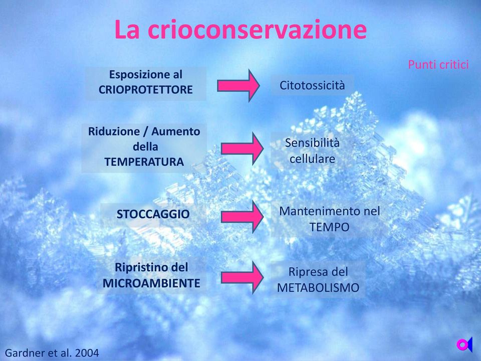 Citotossicità Punti critici Riduzione / Aumento della