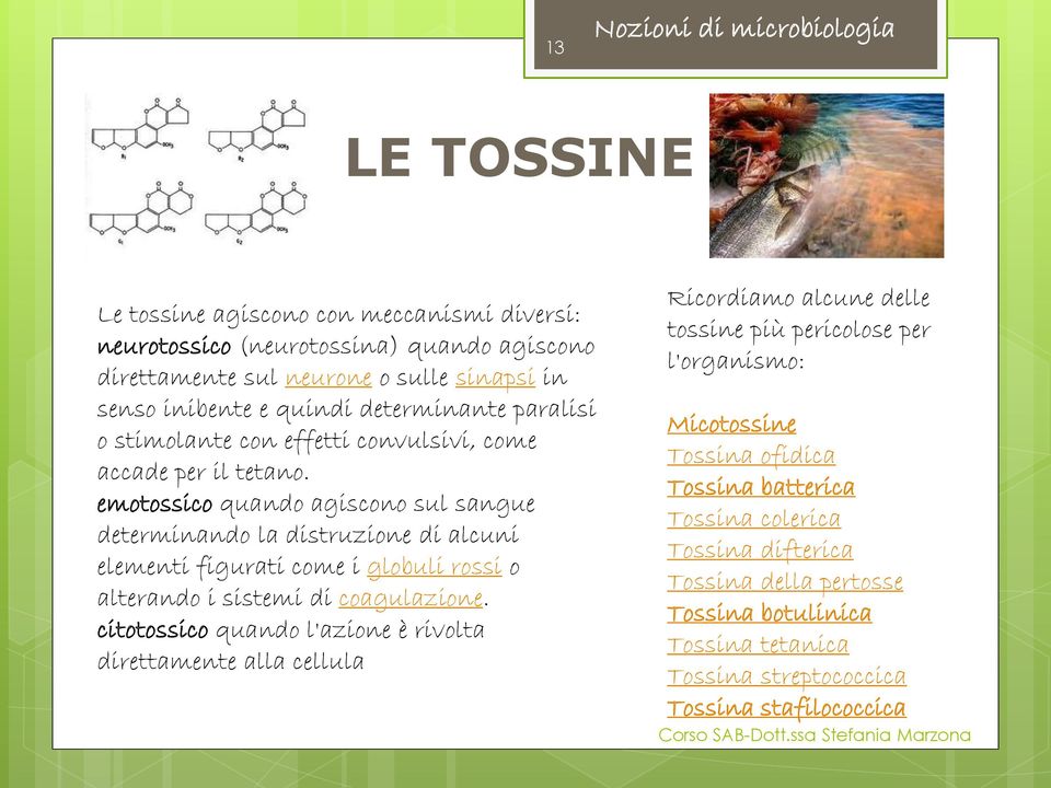 emotossico quando agiscono sul sangue determinando la distruzione di alcuni elementi figurati come i globuli rossi o alterando i sistemi di coagulazione.