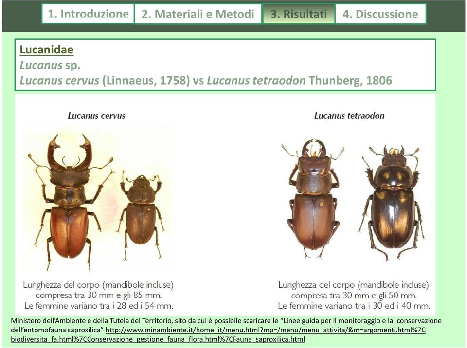 sito da cui è possibile scaricare le Linee guida per il monitoraggio e la conservazione dell entomofauna saproxilica