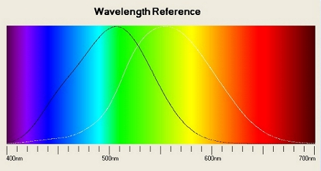 Lunghezza d onda l Luce visibile: l= 0,4-0,8 mm Elettroni: l= 0,004 mm R=l/2 Potere di risoluzione Capacità di una lente di separare o distinguere piccoli oggetti molto vicini fra loro La lunghezza d