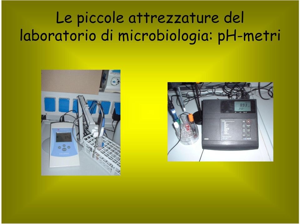 laboratorio di