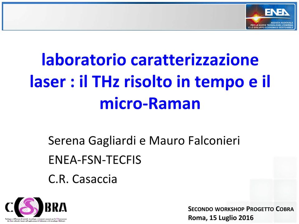 Gagliardi e Mauro Falconieri ENEA FSN TECFIS C.R.