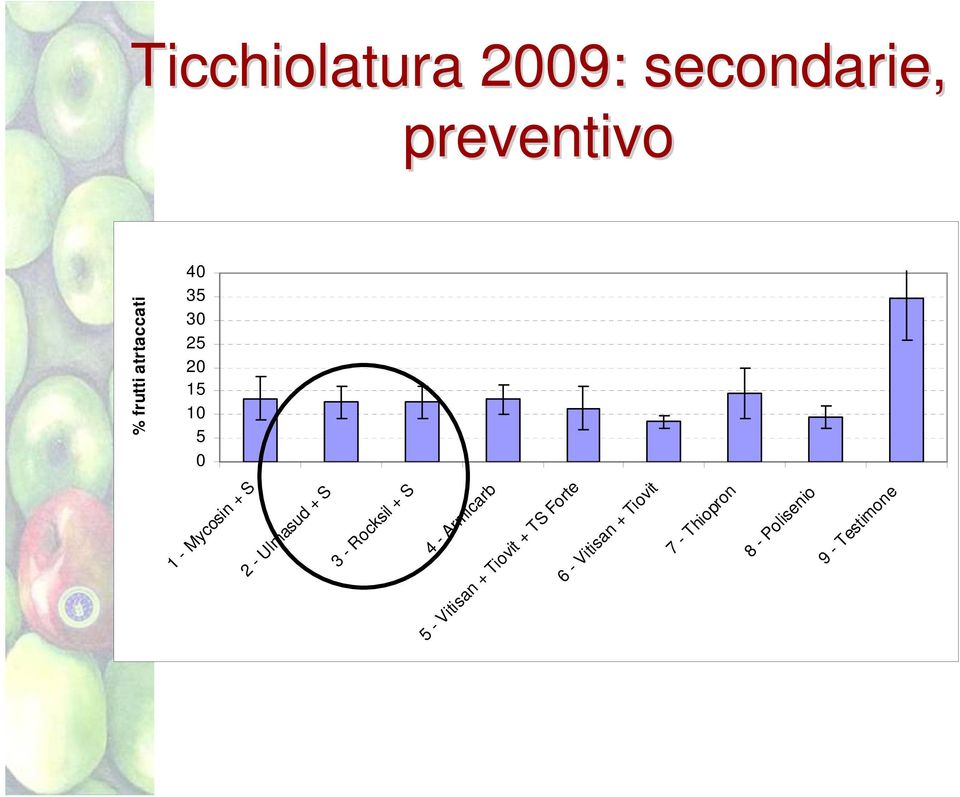 + S 3 Rocksil + S 4 Armicr 5 Vitisn + Tiovit + TS