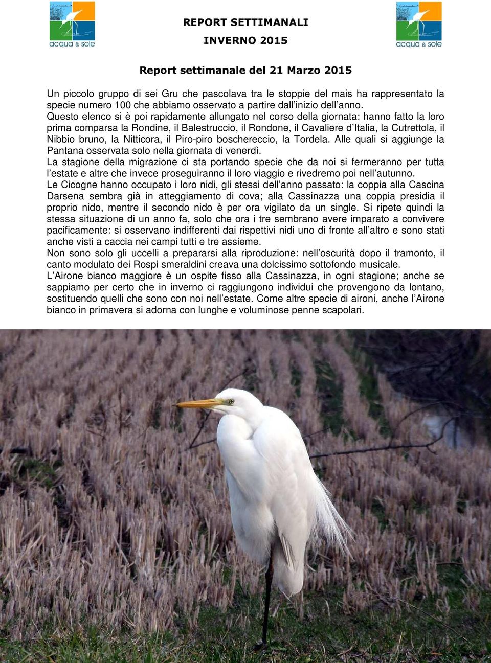 bruno, la Nitticora, il Piro-piro boschereccio, la Tordela. Alle quali si aggiunge la Pantana osservata solo nella giornata di venerdì.