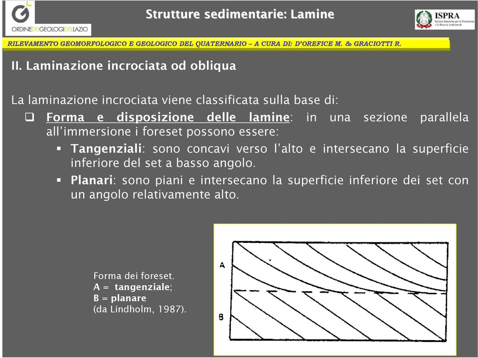 lamine: in una sezione parallela all immersione i foreset possono essere: Tangenziali: sono concavi verso l alto e