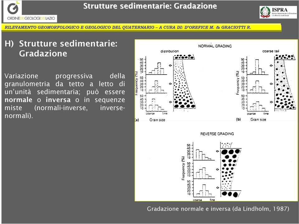 sedimentaria; può essere normale o inversa o in sequenze miste