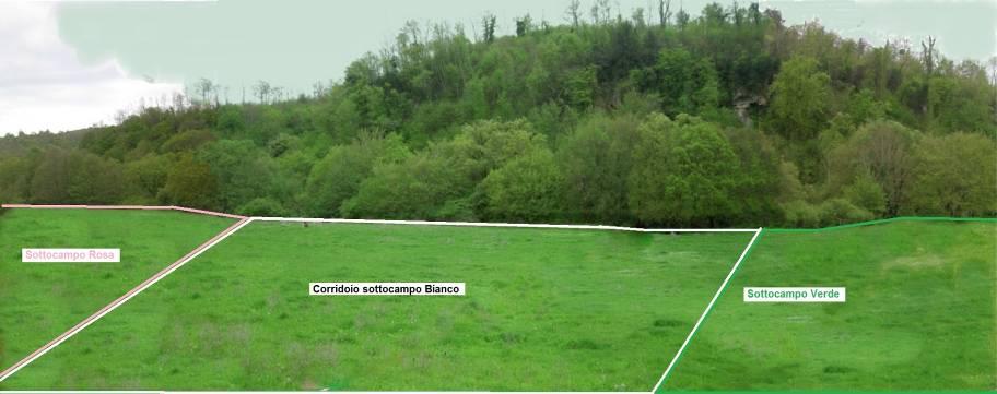 Al termine del prato ai piedi della collina in mezzo agli alberi scorre il F.