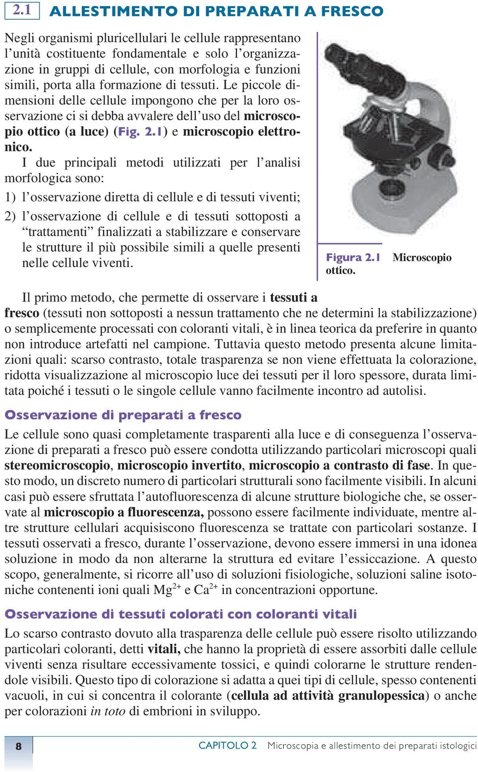 1) e microscopio elettronico.